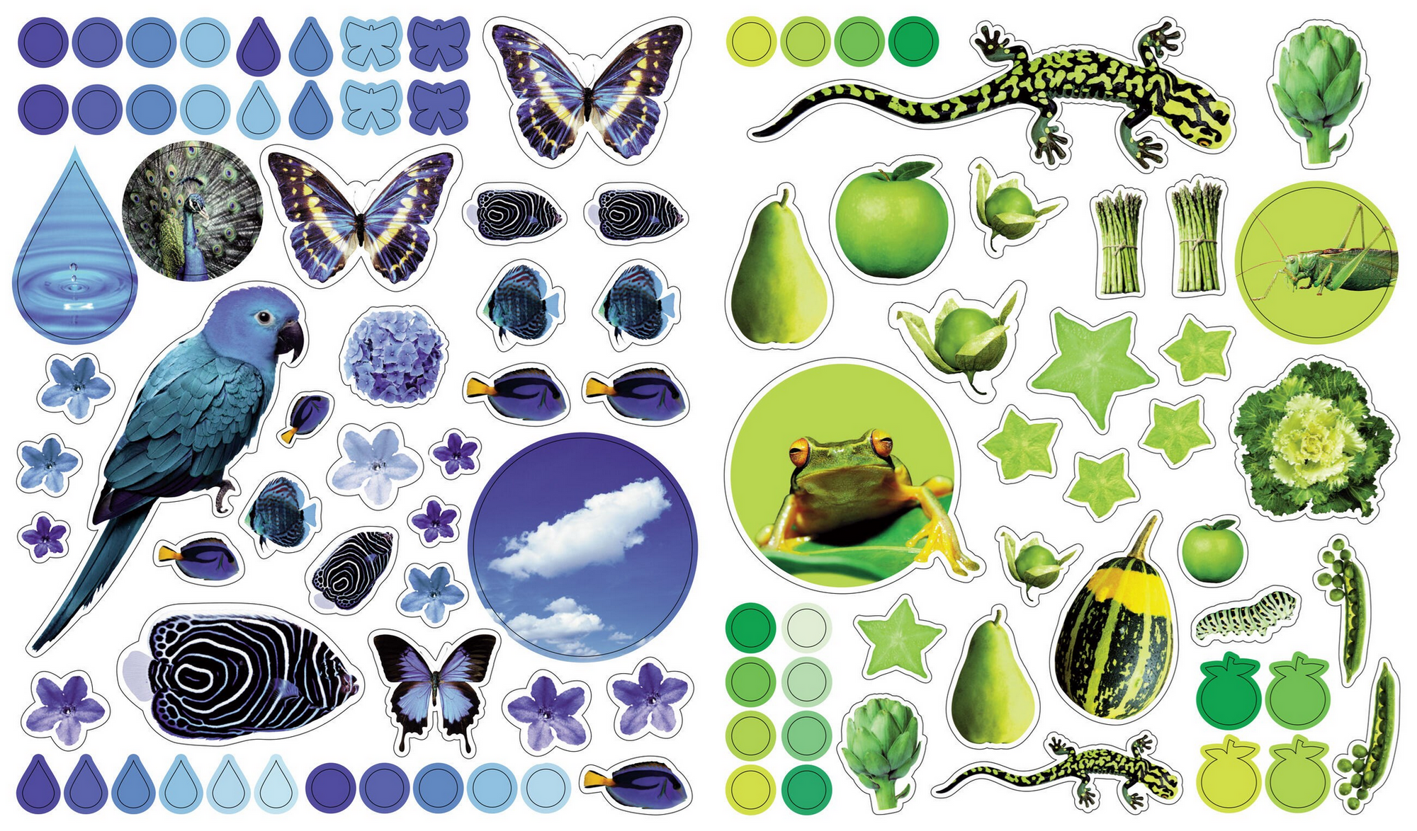 Eyelike Stickers: Colors