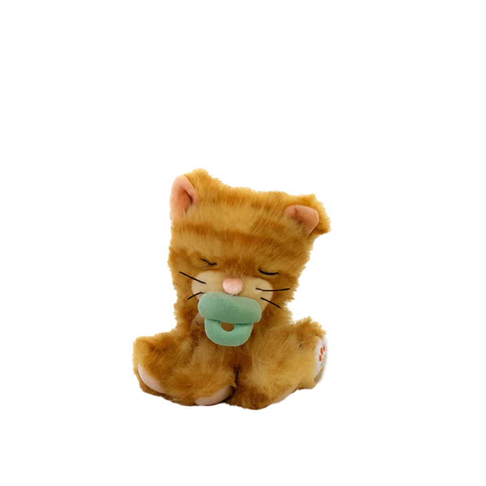 Plush toy cat with a pacifier on a white background