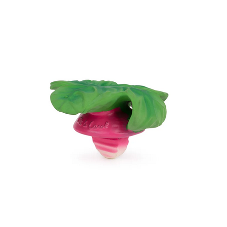 Pink and green pet toy with leaf design on a white background