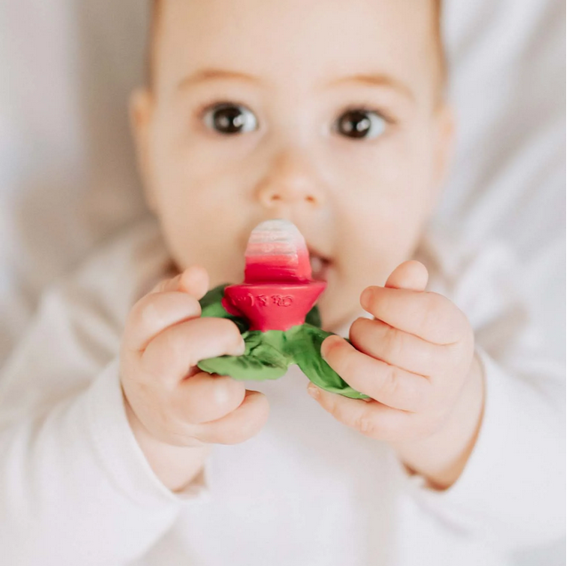 Baby holding a green and red teething toy