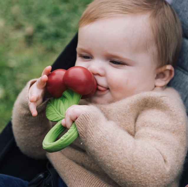 Baby holding a red and green teething toy outdoors