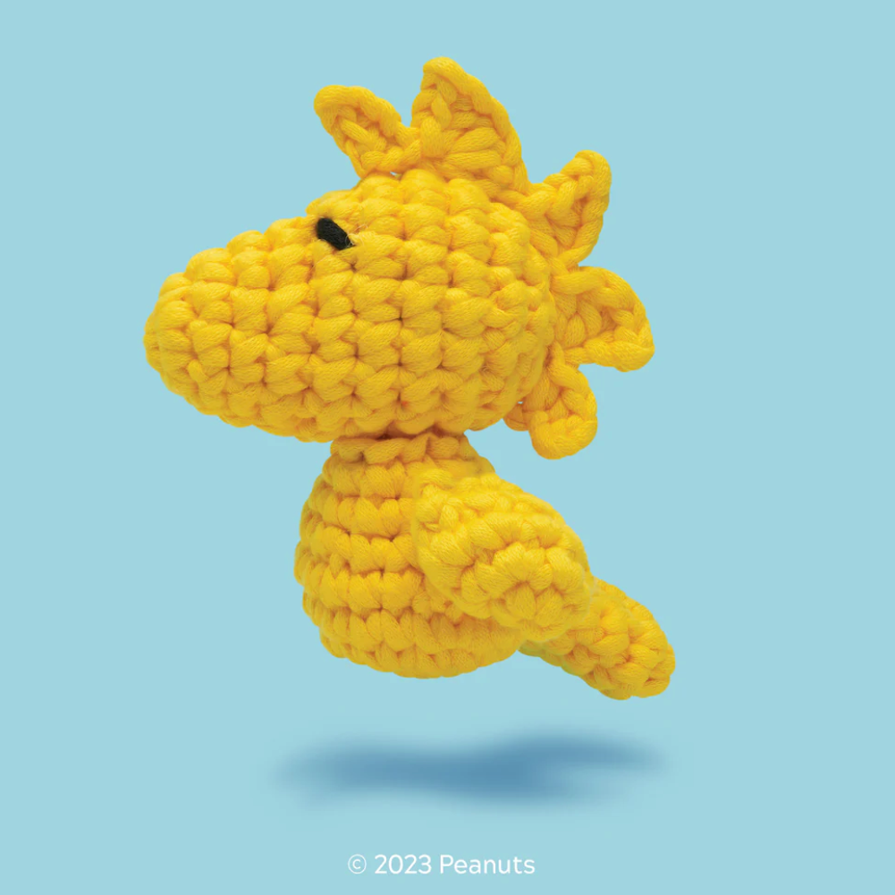 Woodstock Crochet Kit