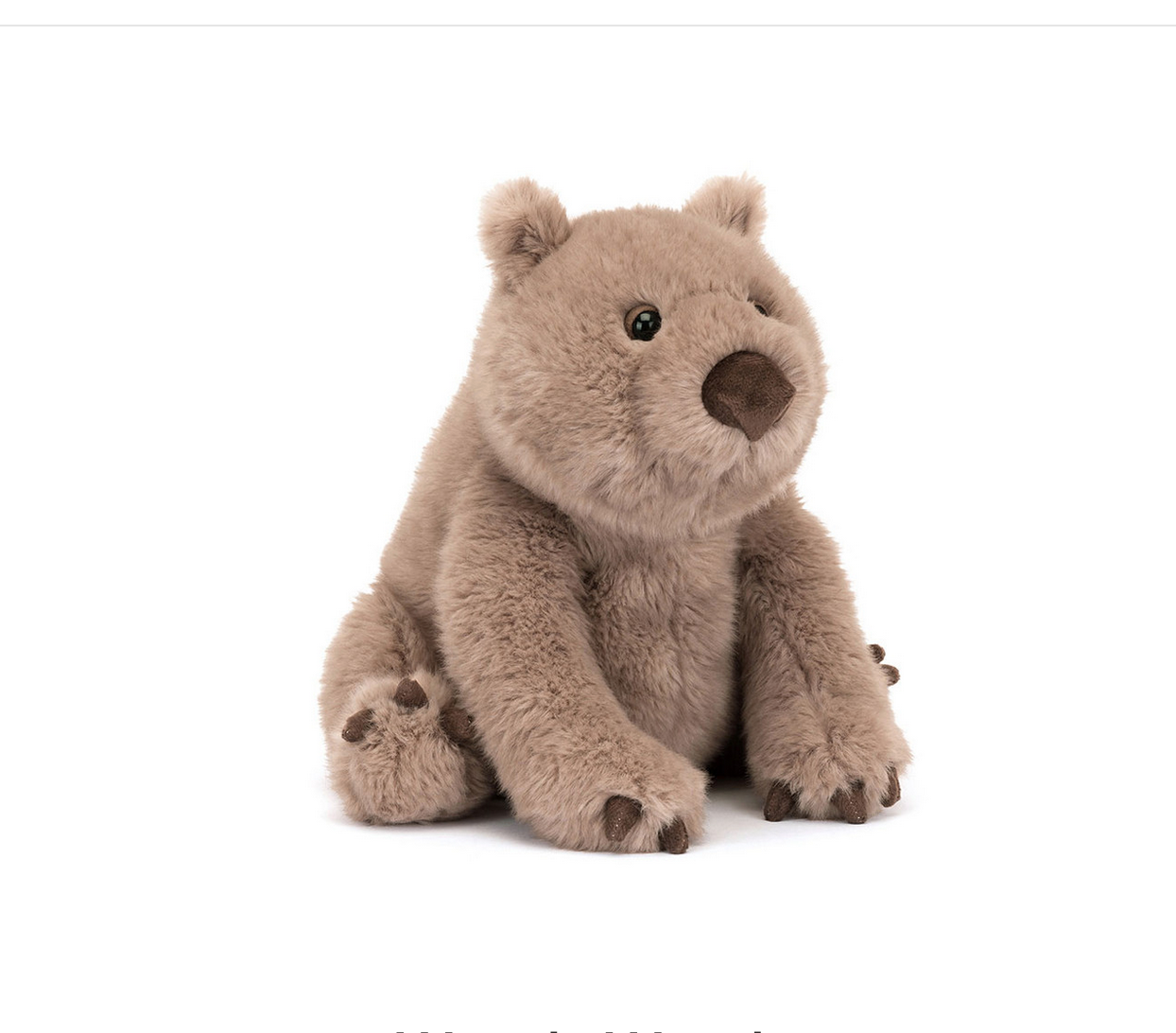 Plush wombat toy on a white background