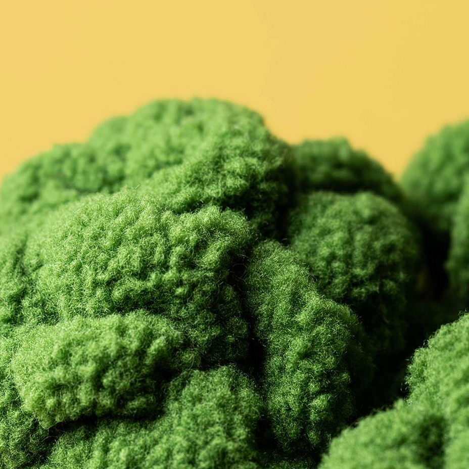 Close-up of green broccoli on a beige background