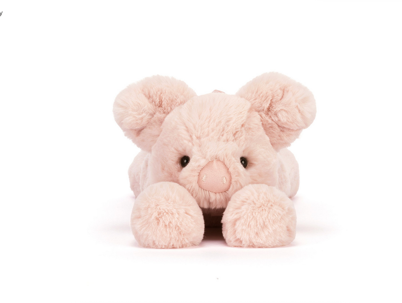 Plush pig on a white background