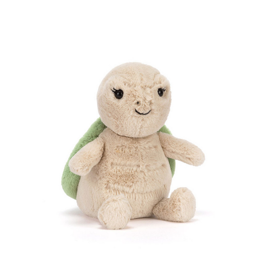 Stuffed turtle toy on a white background