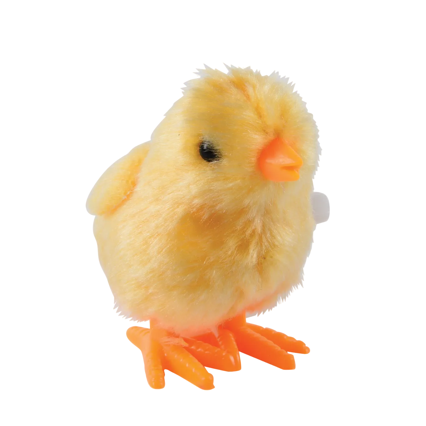 Plush toy chick on a white background