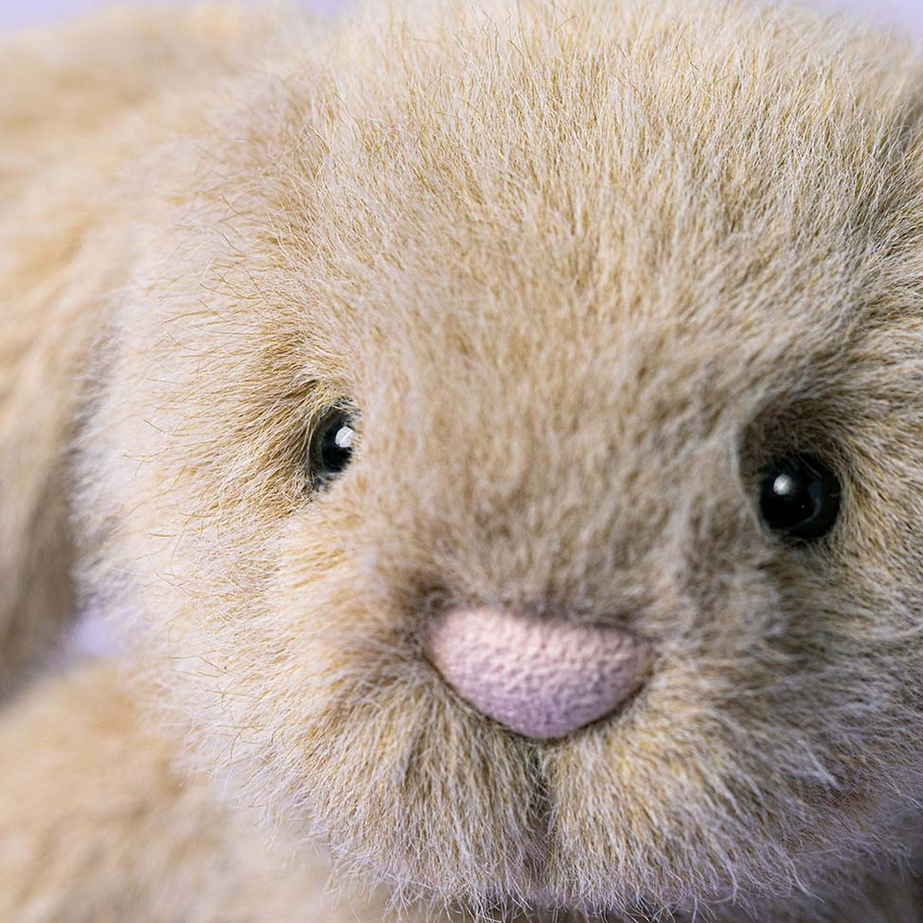 Close-up of a fluffy beige bunny with a soft pink nose.