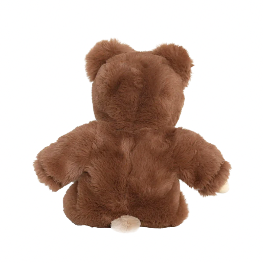 Brown teddy bear on a white background