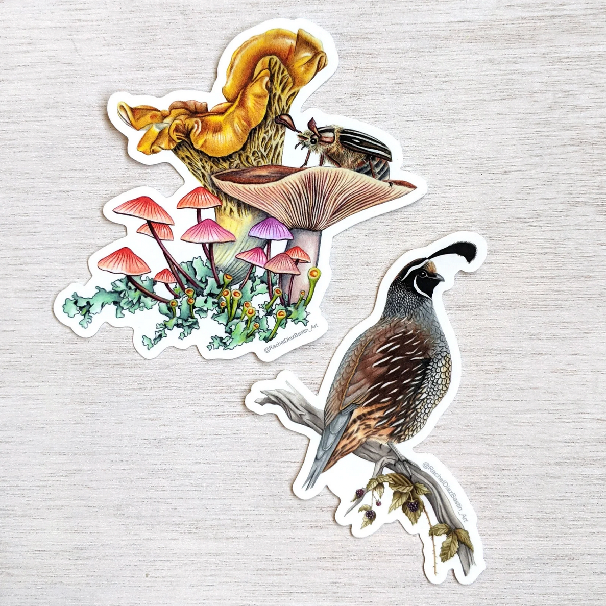 Two stickers of a bird and a mushroom design on a textured surface.