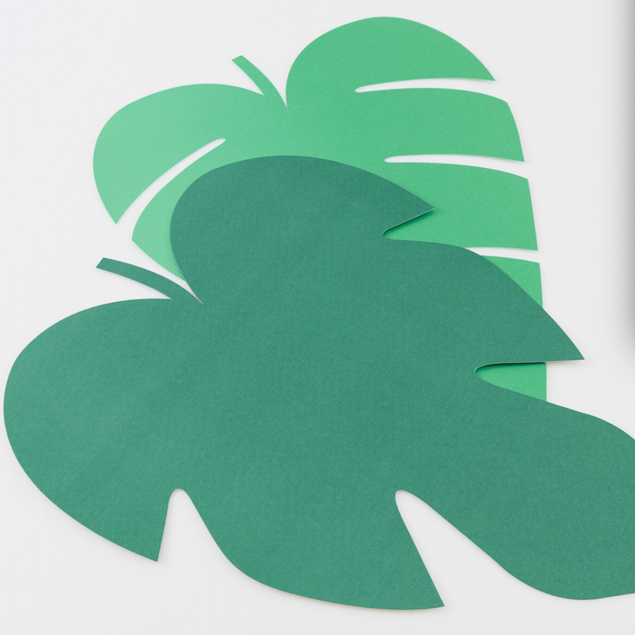 Two green paper leaves on a white background