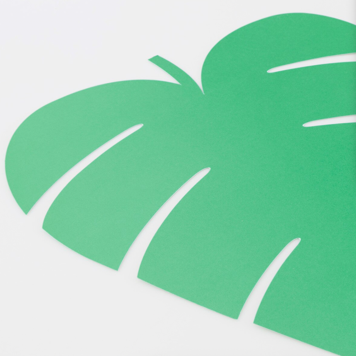 Green leaf-shaped object on a white background