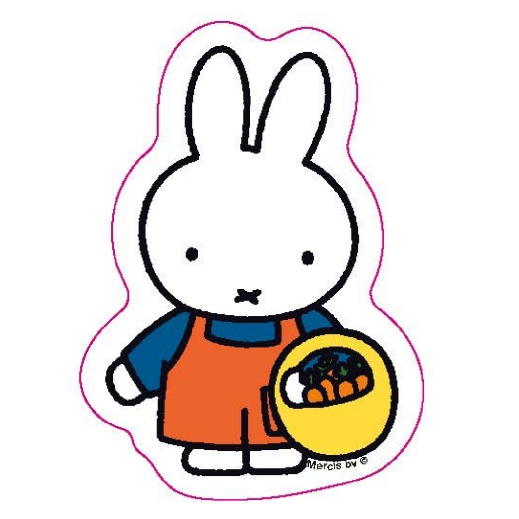 Miffy Magnet Set