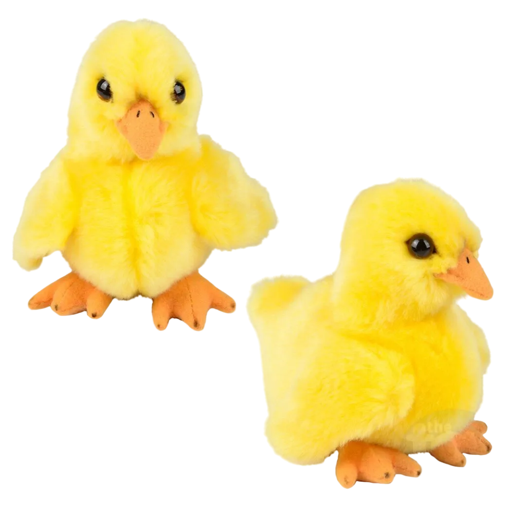 Heirloom Treasure Chick