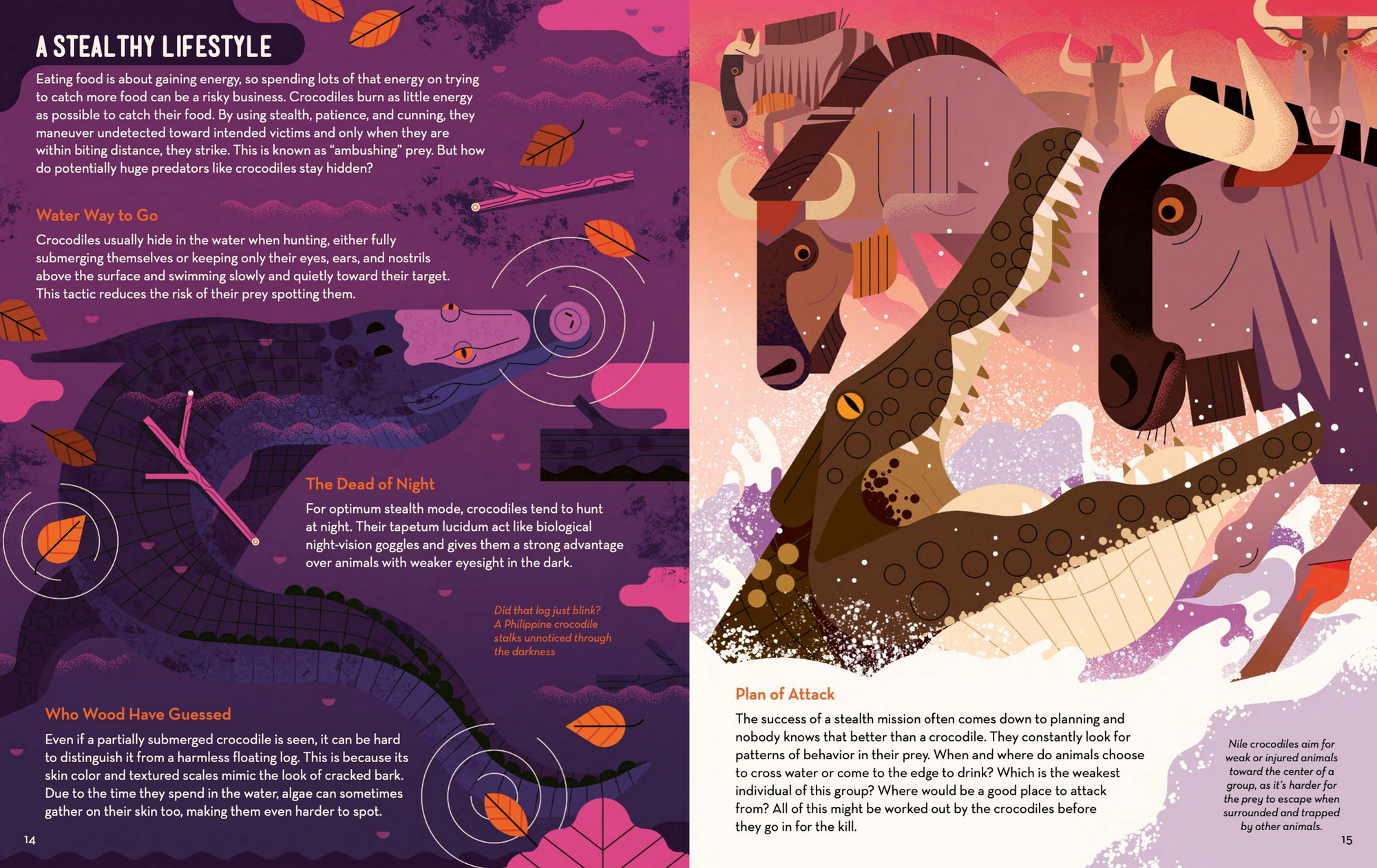 Curious About Crocodiles