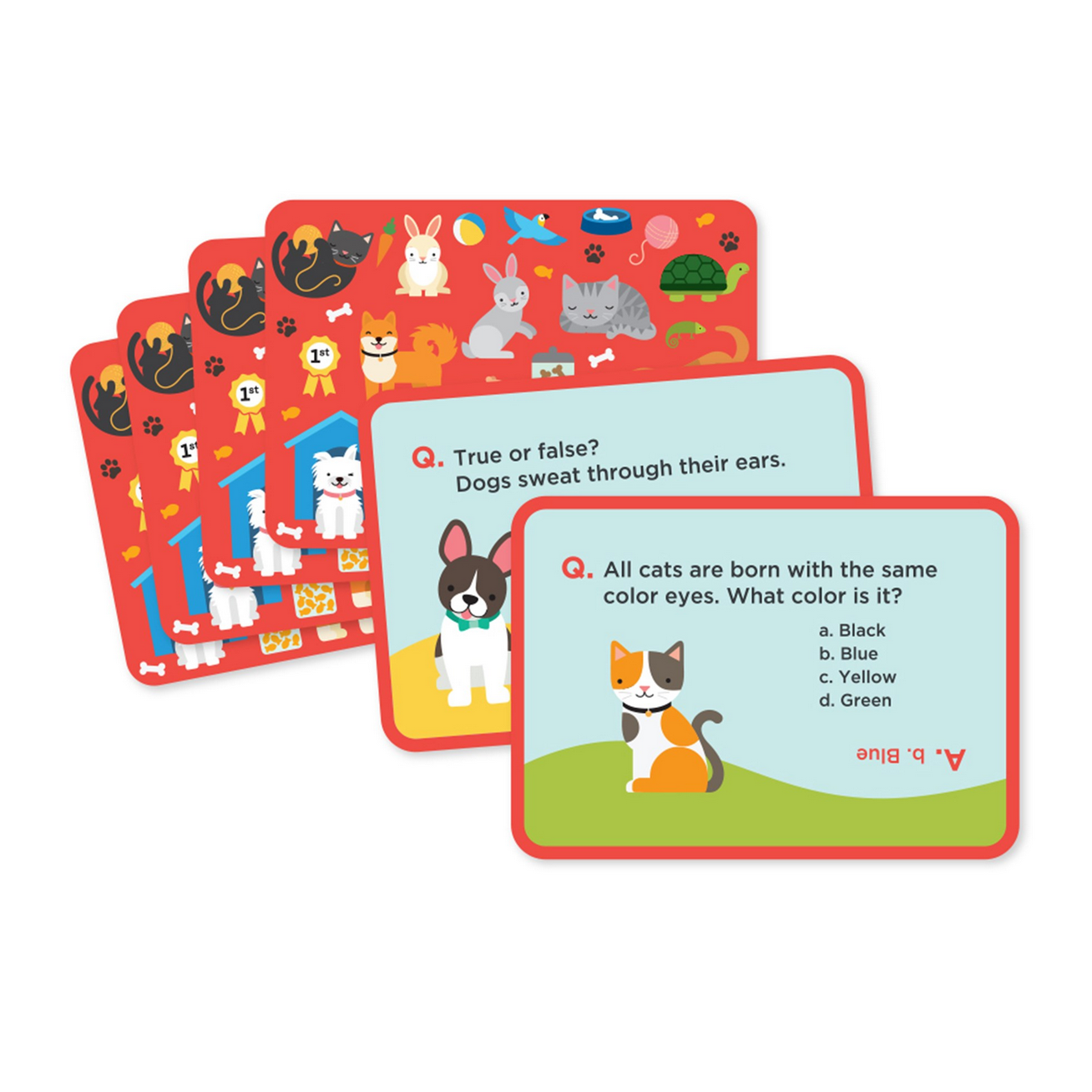 Educational card game with animal-themed questions on a white background