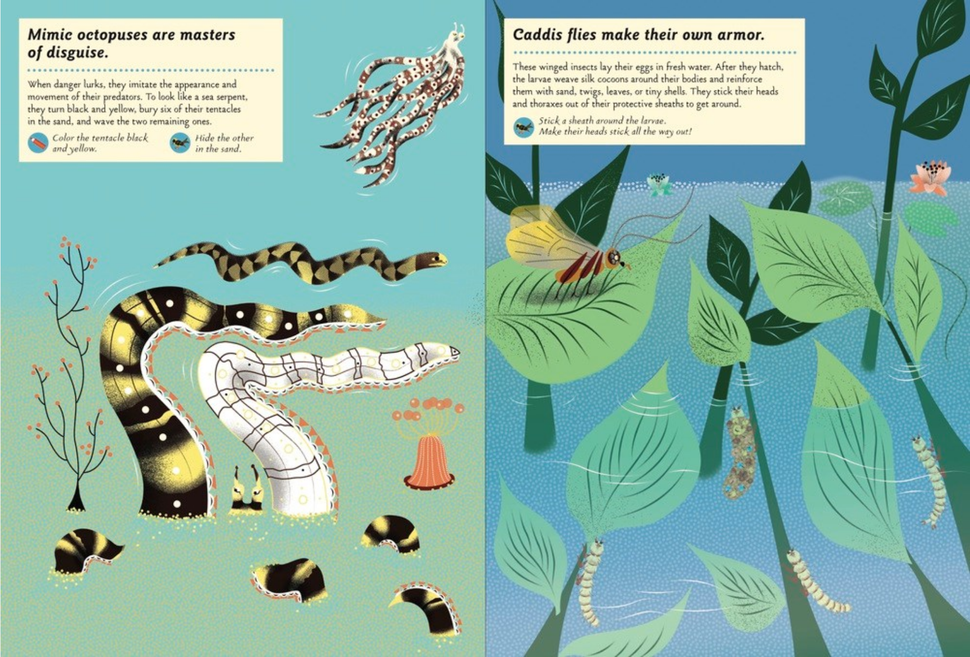 Illustrated book page with ocean creatures and text about mimic octopuses and caddis flies.