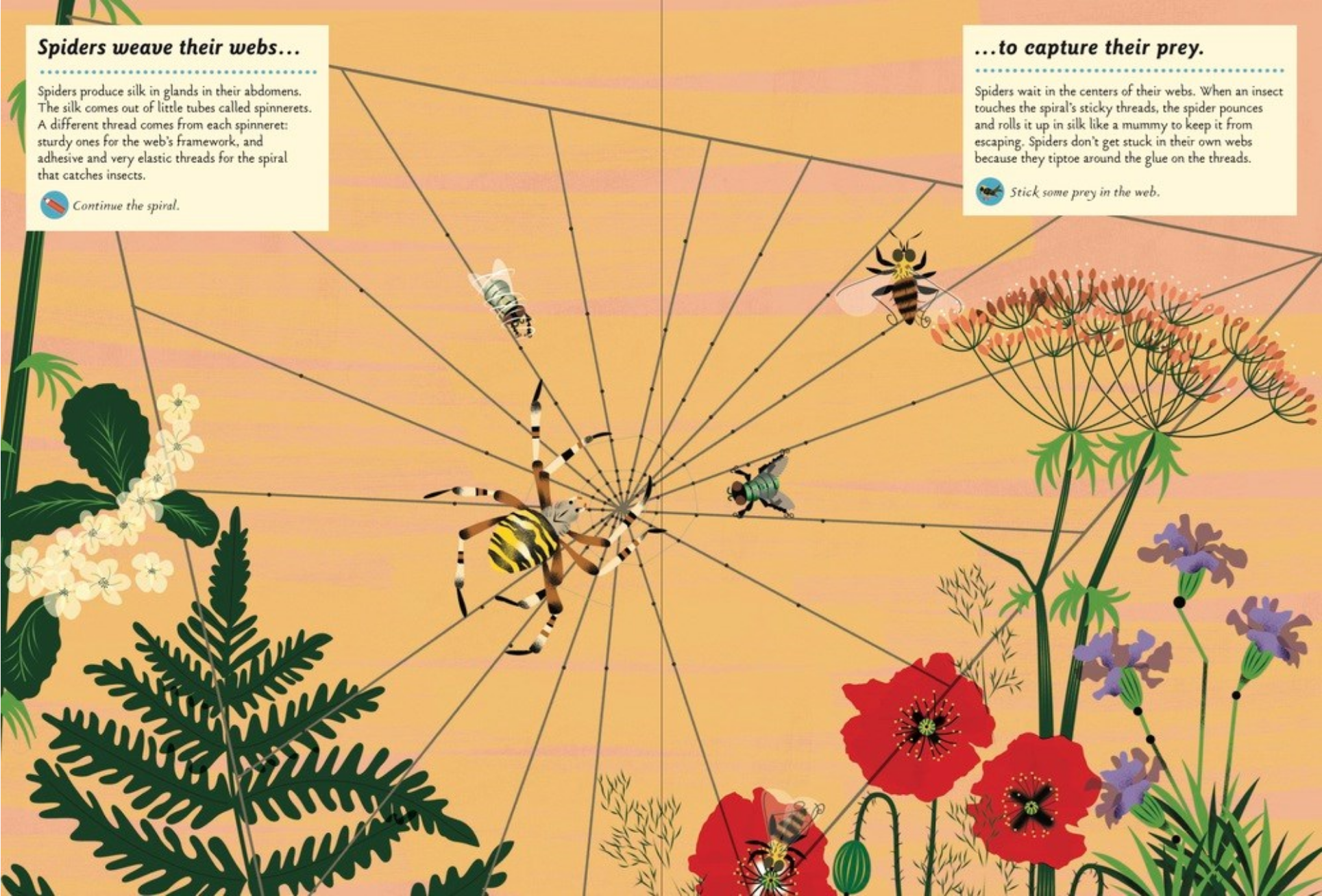 Illustration of a spider web with flowers and insects on a yellow background