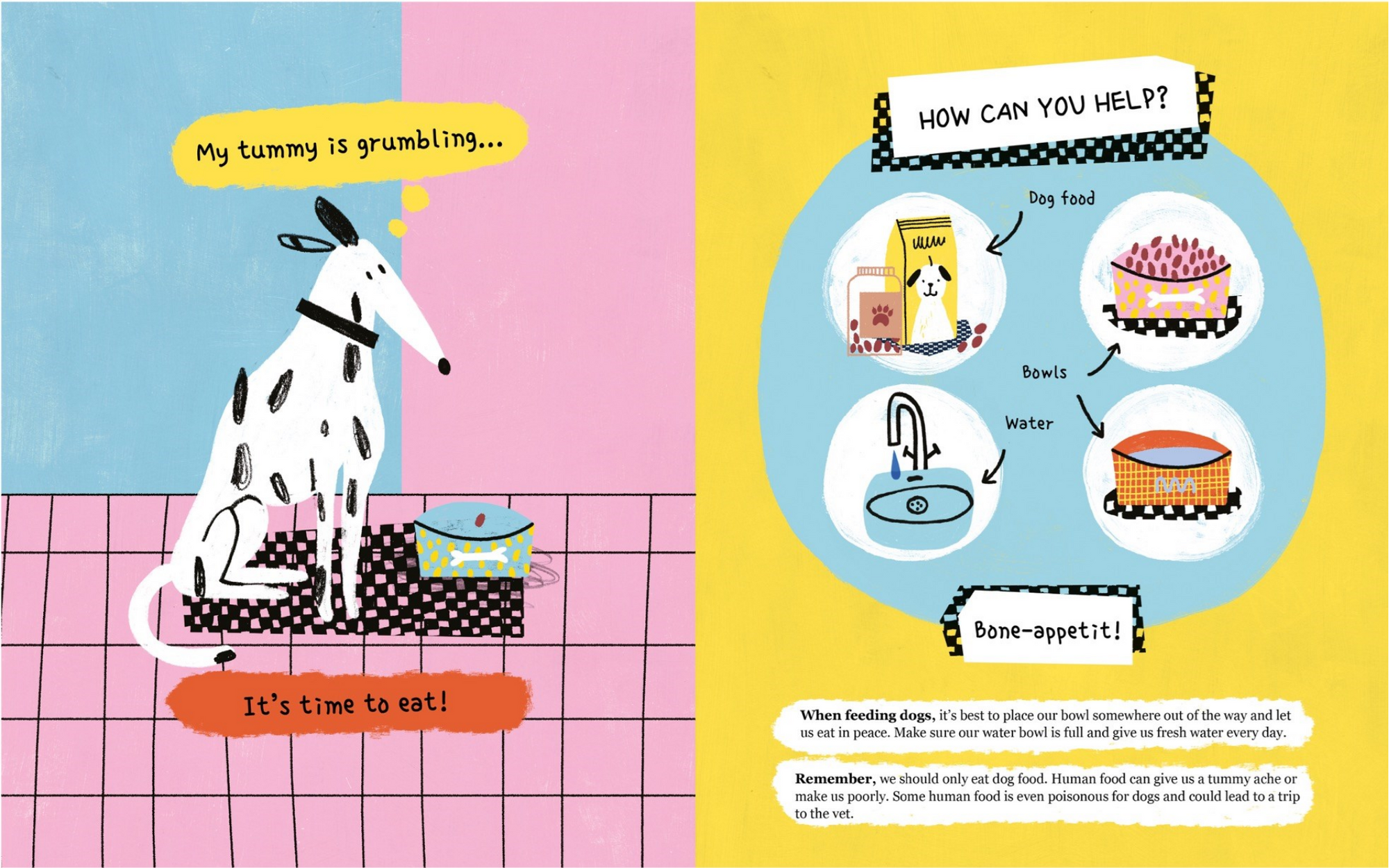 Illustration of a dog with a checkered blanket and text about feeding a dog, on a colorful background.