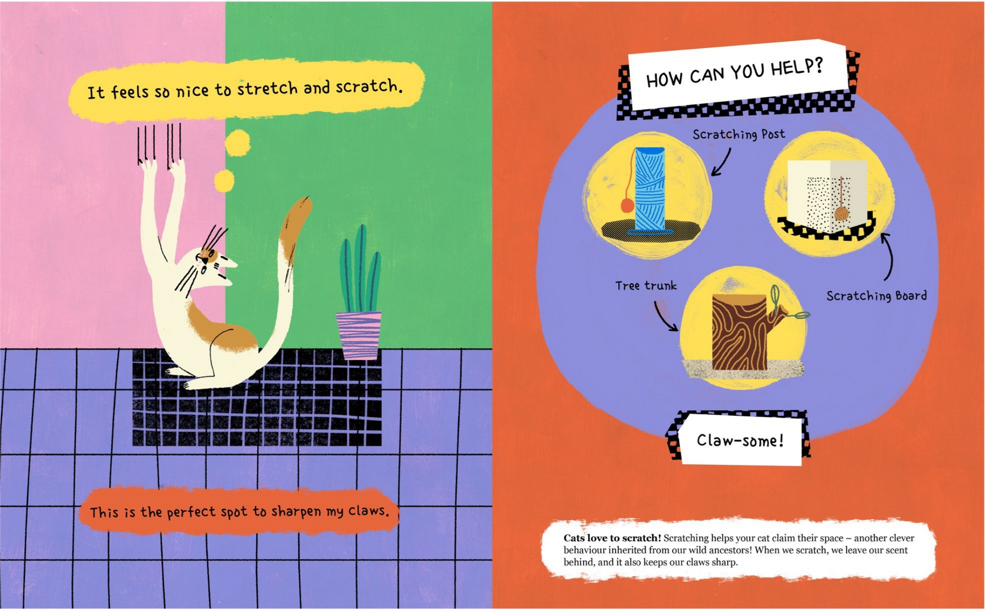 Illustrated book page with a cat and scratching options on a colorful background