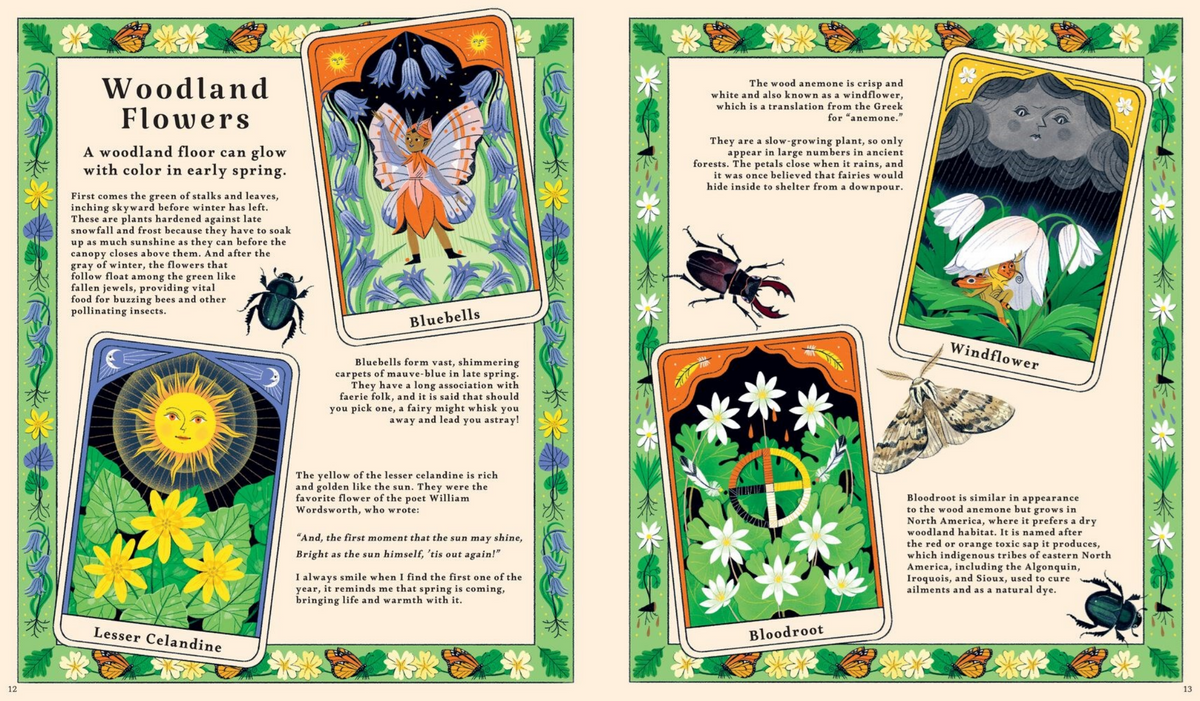 Illustrated book page about woodland flowers with images and text.
