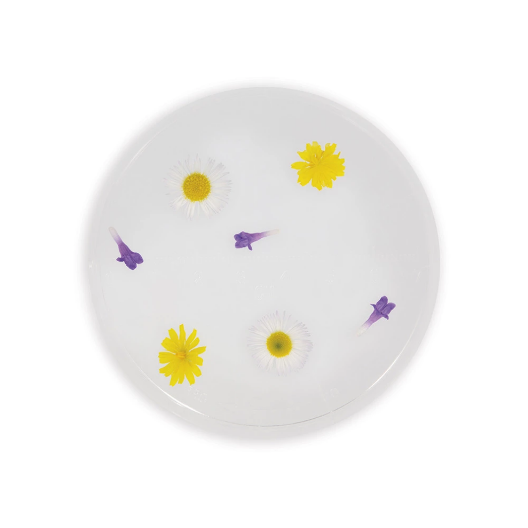 Round white plate with yellow flowers and purple birds on a white background