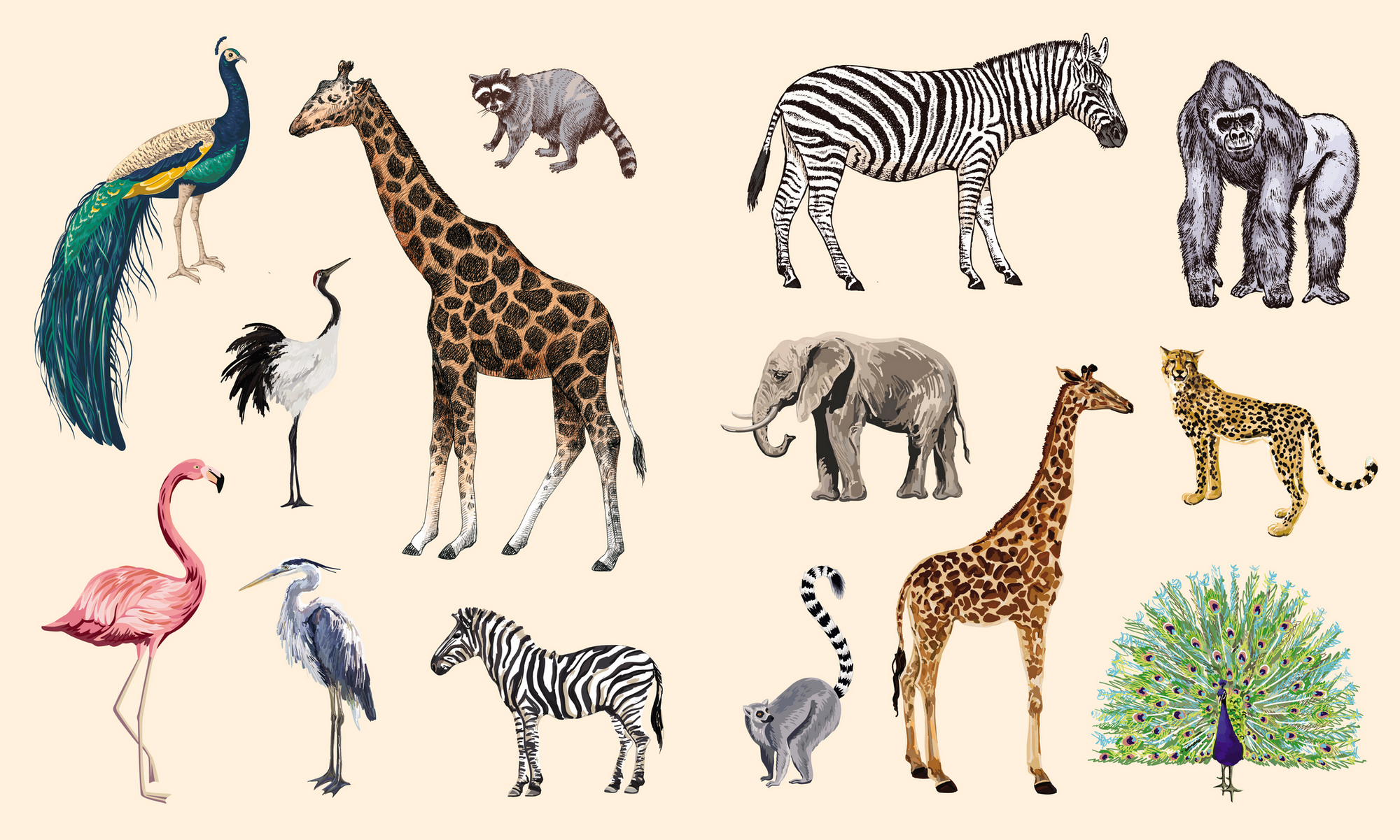 Illustrations of various animals including giraffes, zebras, and flamingos on a beige background.