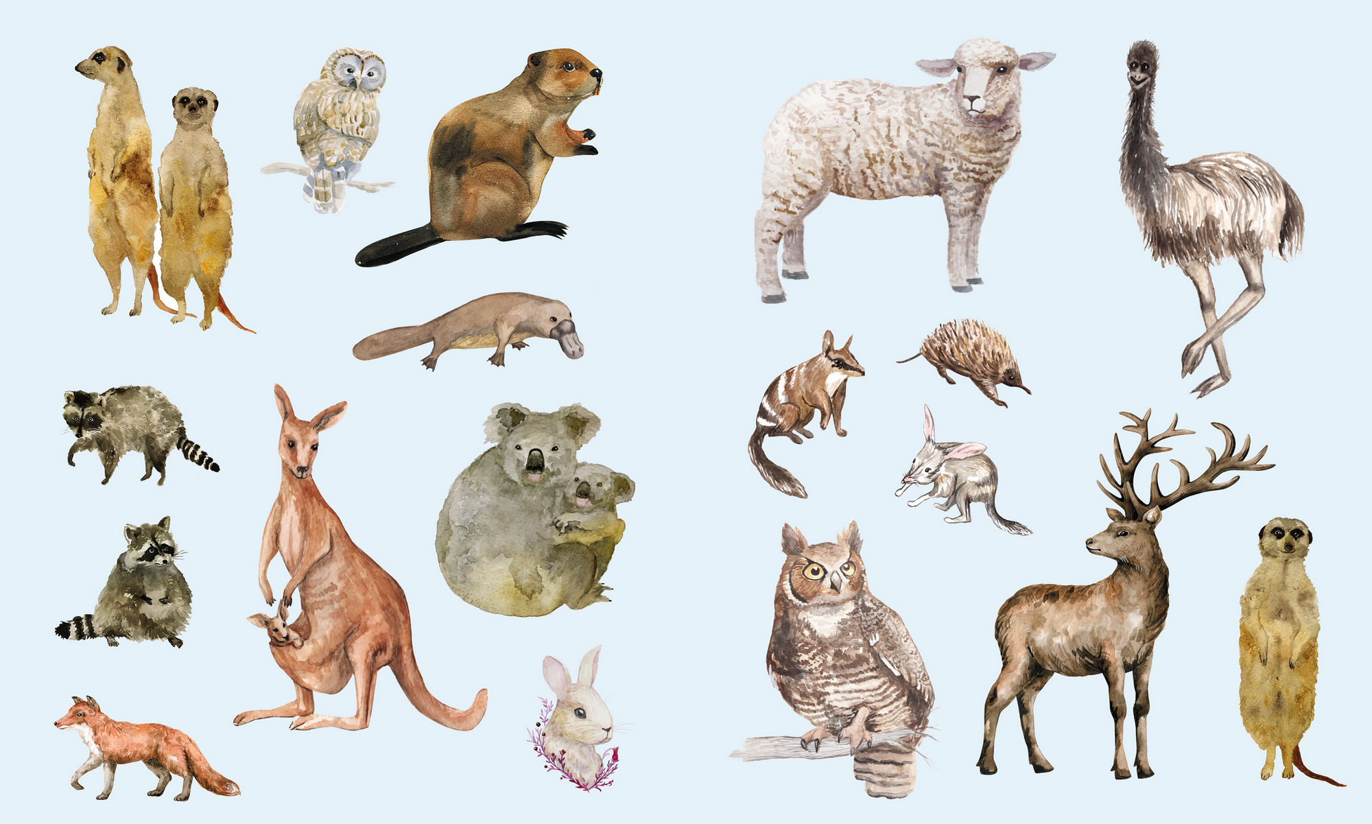 Illustrations of various animals on a light blue background