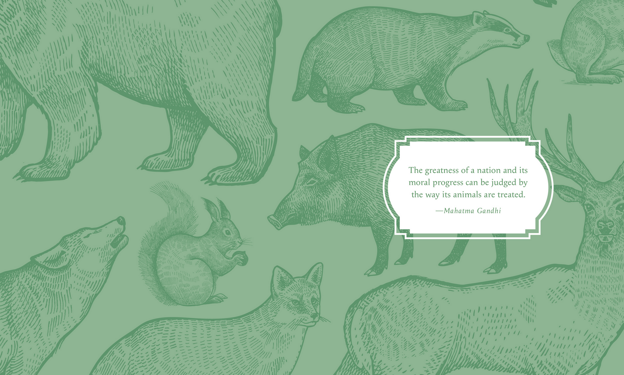 Illustrations of various animals on a green background with a Gandhi quote.