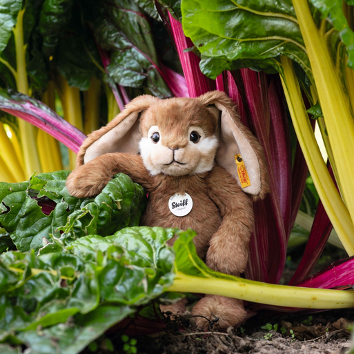 Plush rabbit toy among leafy greens and chard