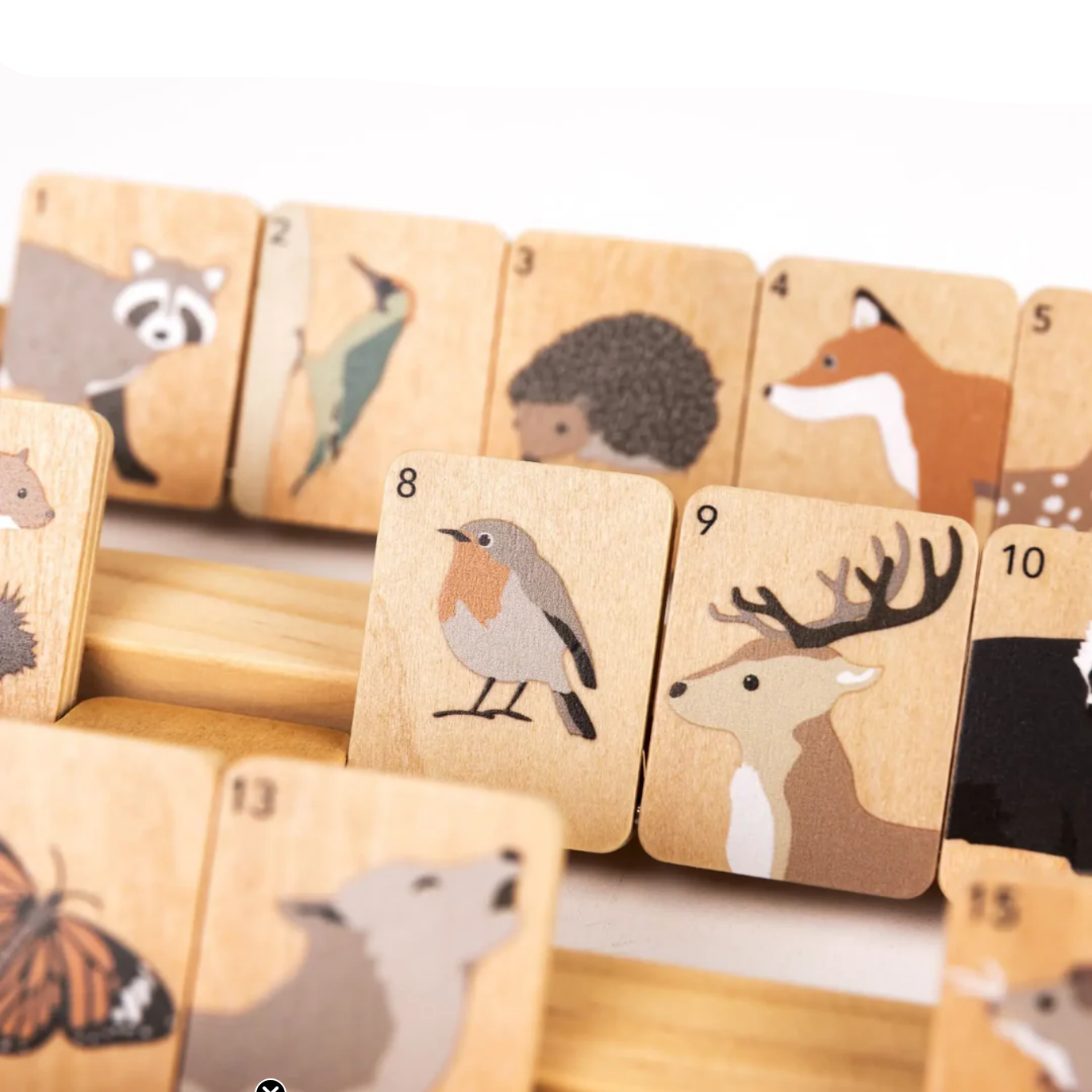 Wooden blocks with animal illustrations on a white background