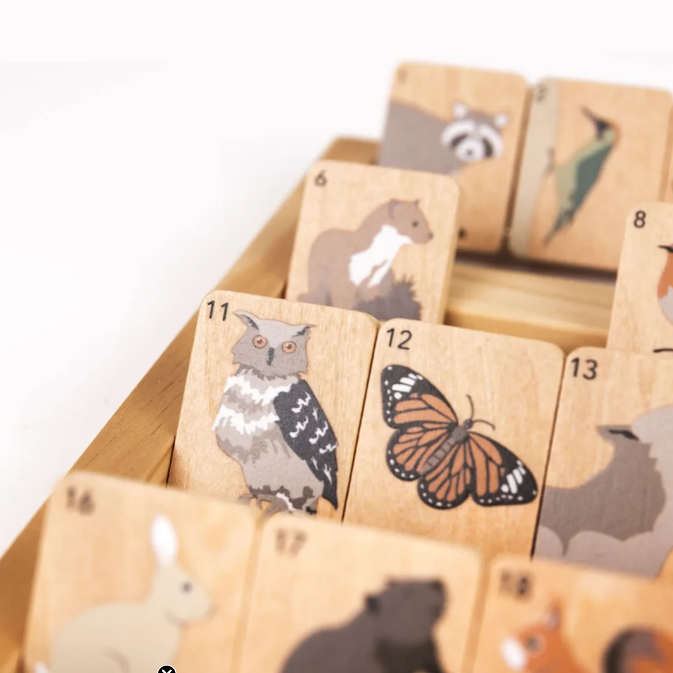 Wooden animal-themed blocks with numbers on a white background