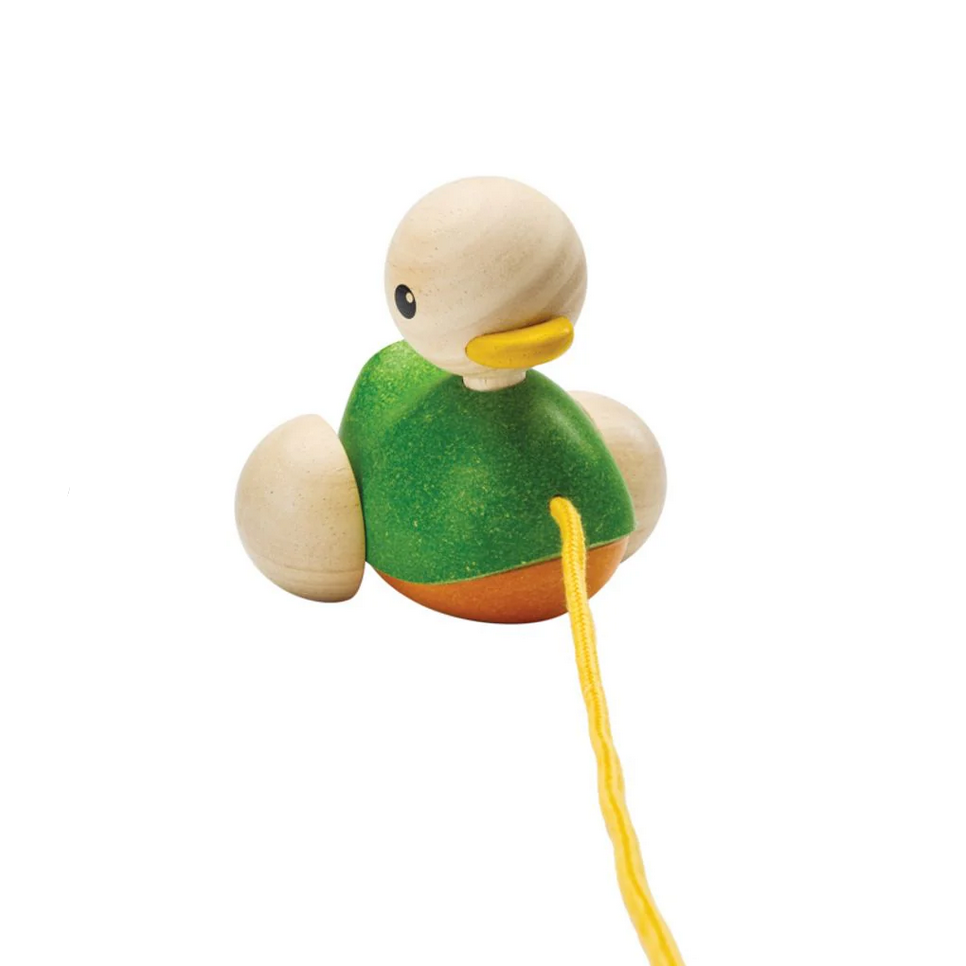 Pull Along Duck