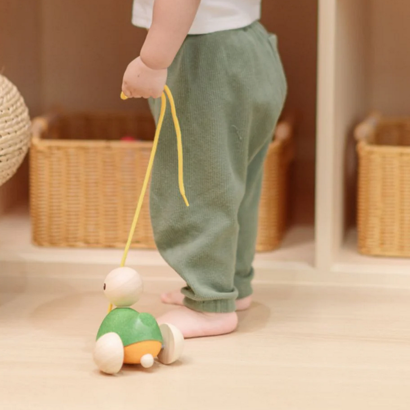 Pull Along Duck