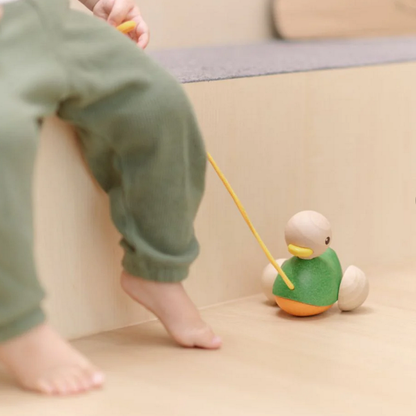 Pull Along Duck