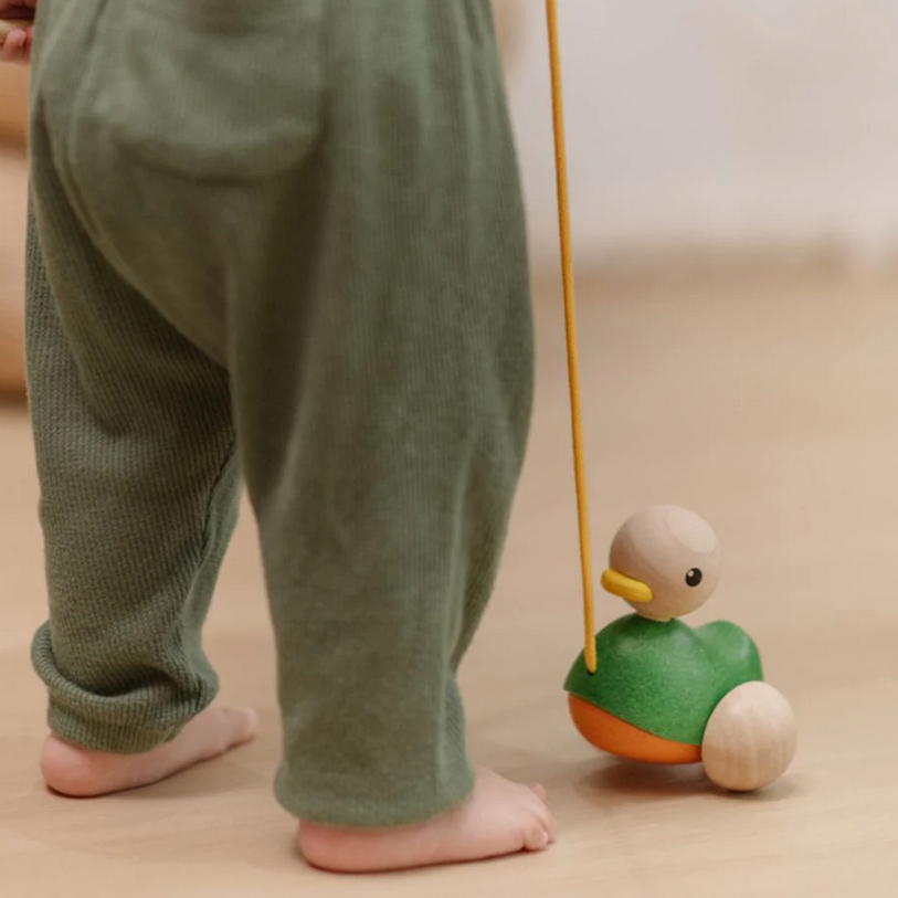 Pull Along Duck