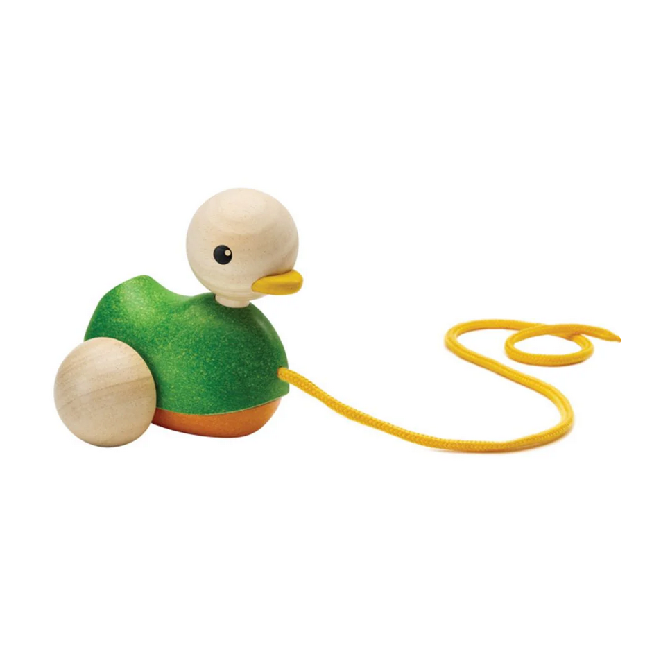 Pull Along Duck