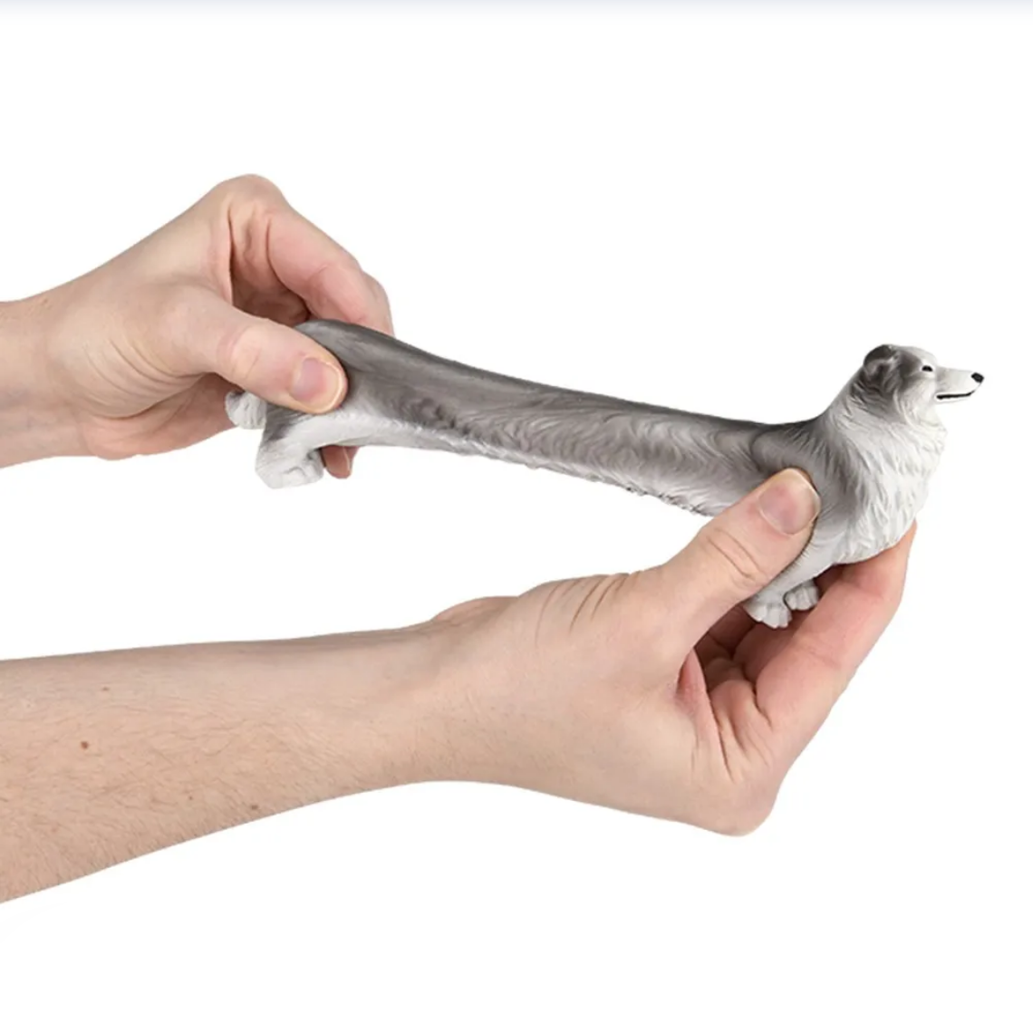 Person holding a dog-shaped toy with a white background