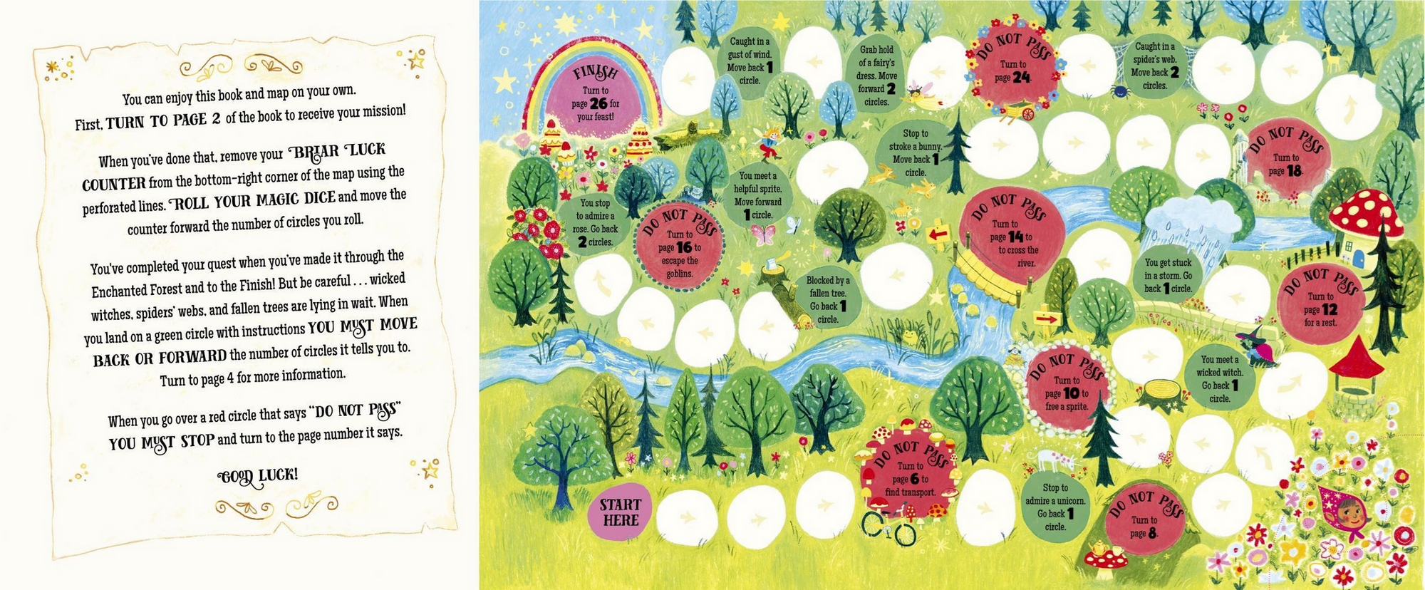 A Roll of The Dice: Enchanted Forest
