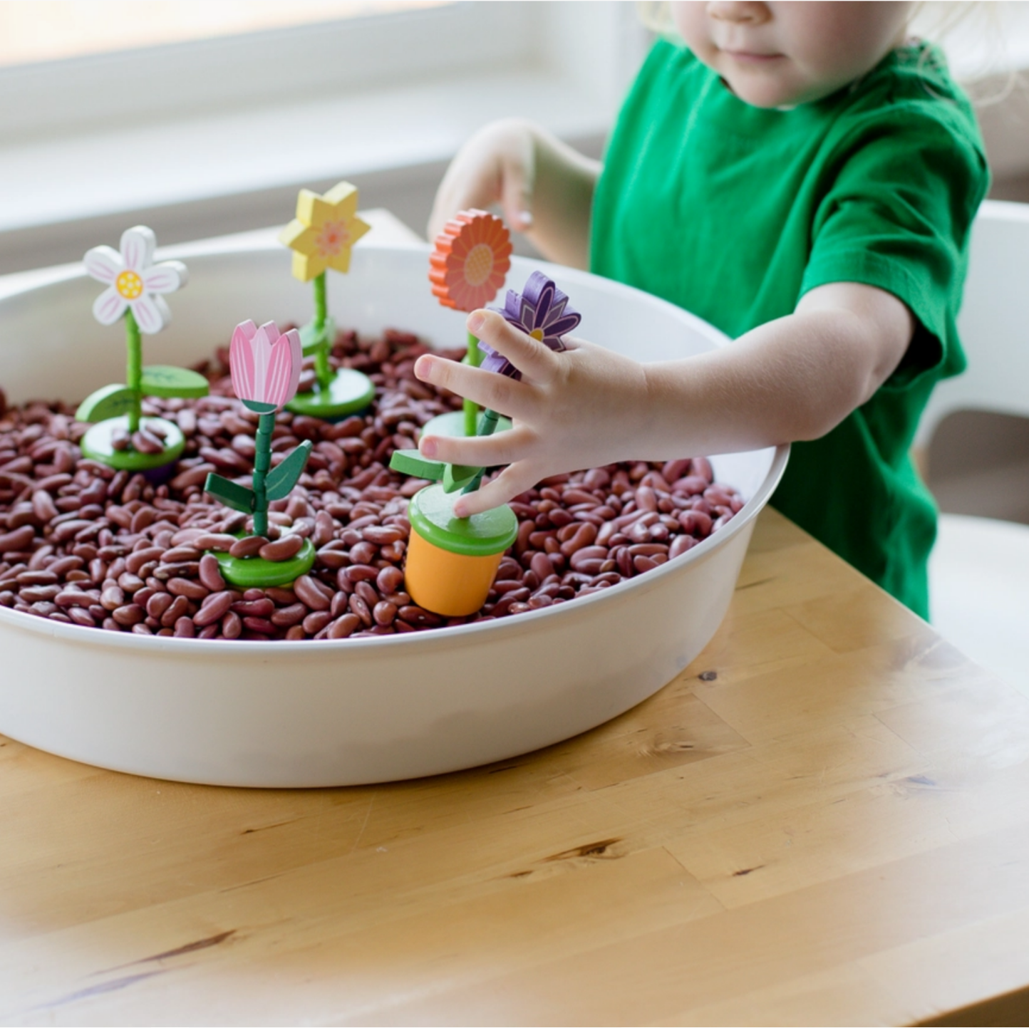 Child playing with toy plants in a bowl of beans on a wooden table