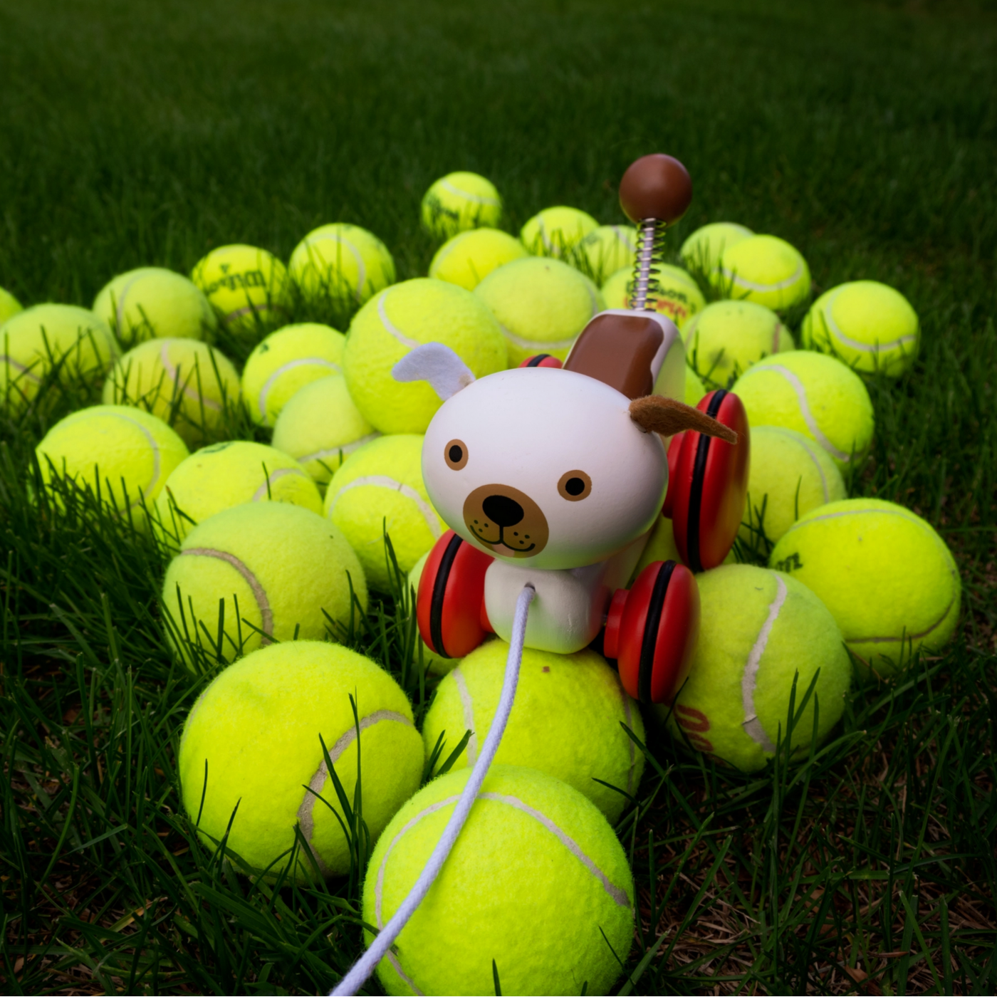Dog toy shaped like a caterpillar made of tennis balls on grass