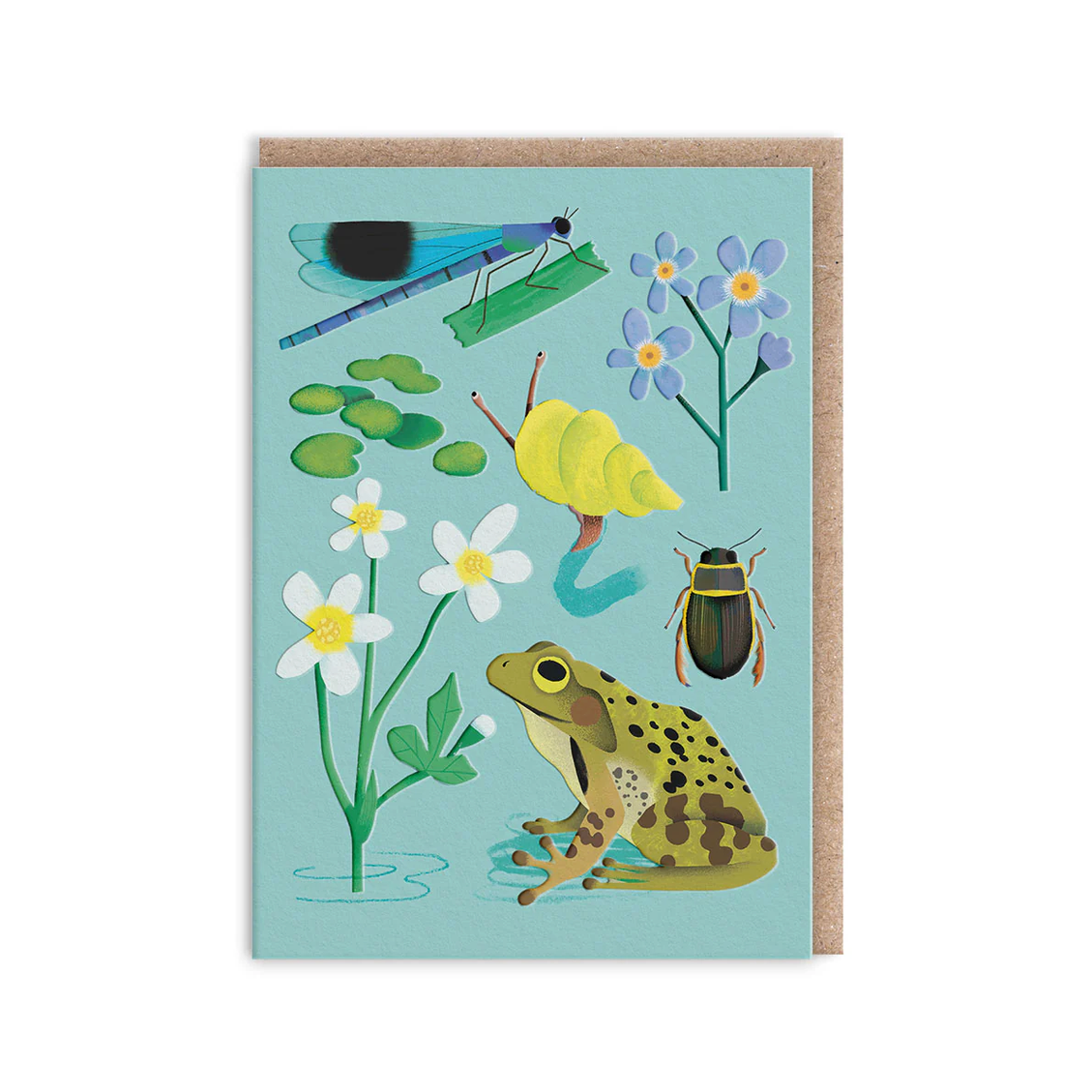 Greeting card with a frog, flowers, and insects on a light blue background