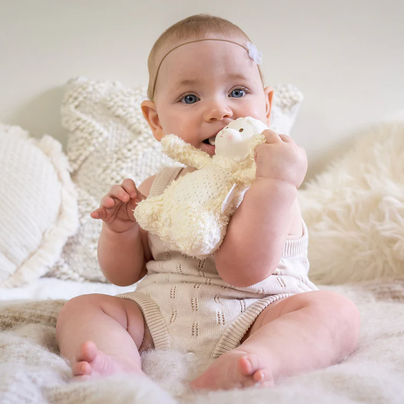 Baby holding a soft toy with a white background