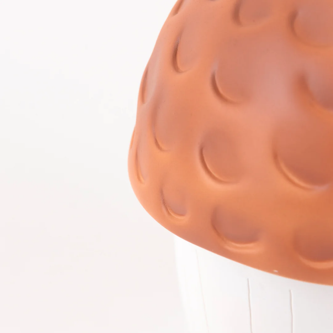 Close-up of a terracotta-colored object with a textured surface on a white background