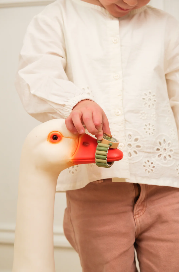 Child holding a toy duck near a real goose