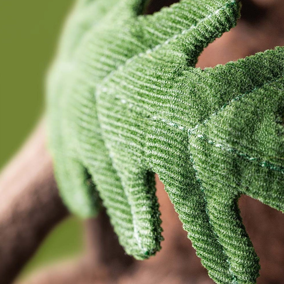 Close-up of green leaf with a blurred background