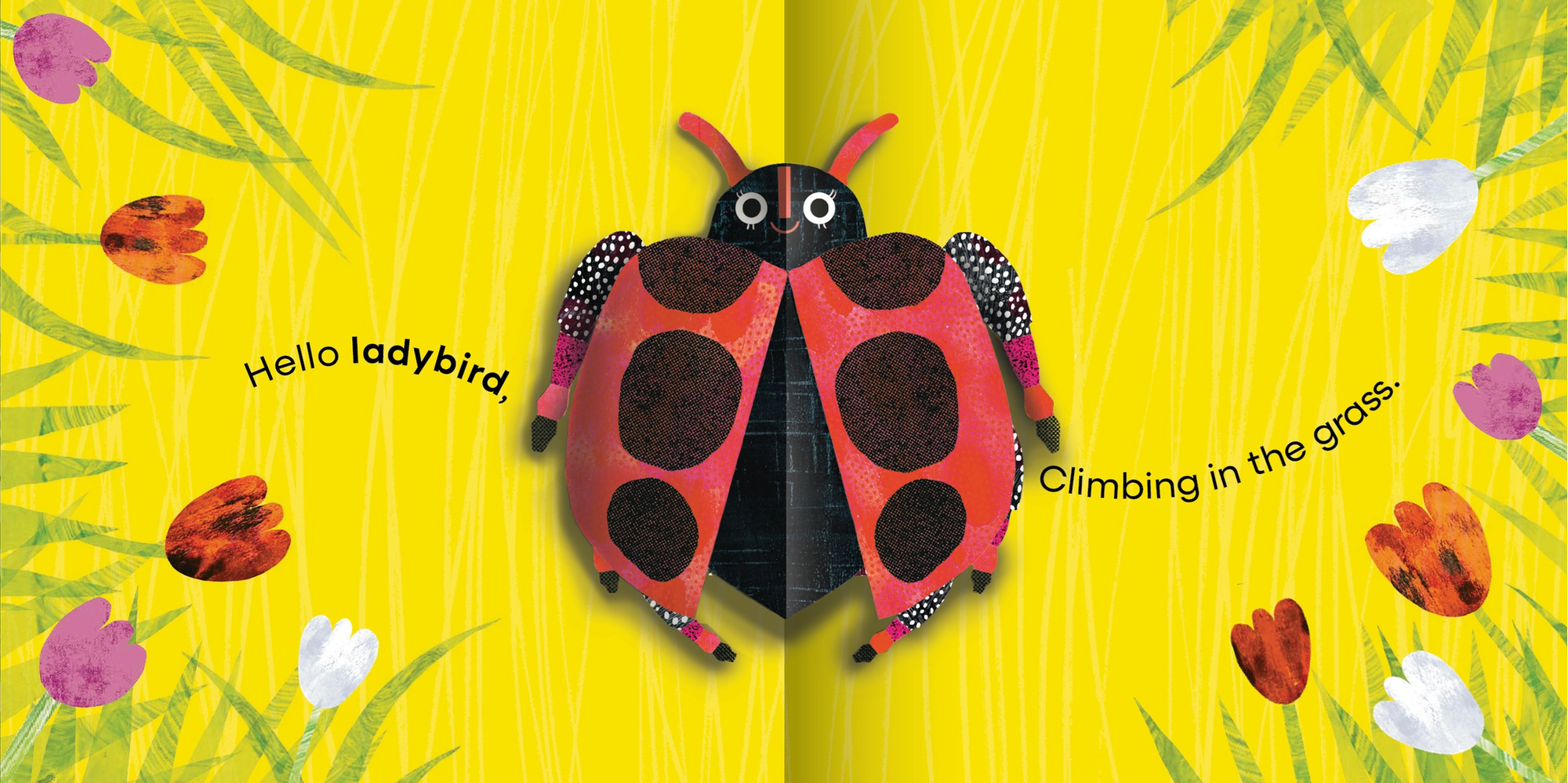 My First Pop-Up: Bugs -Ingela Arrhenius