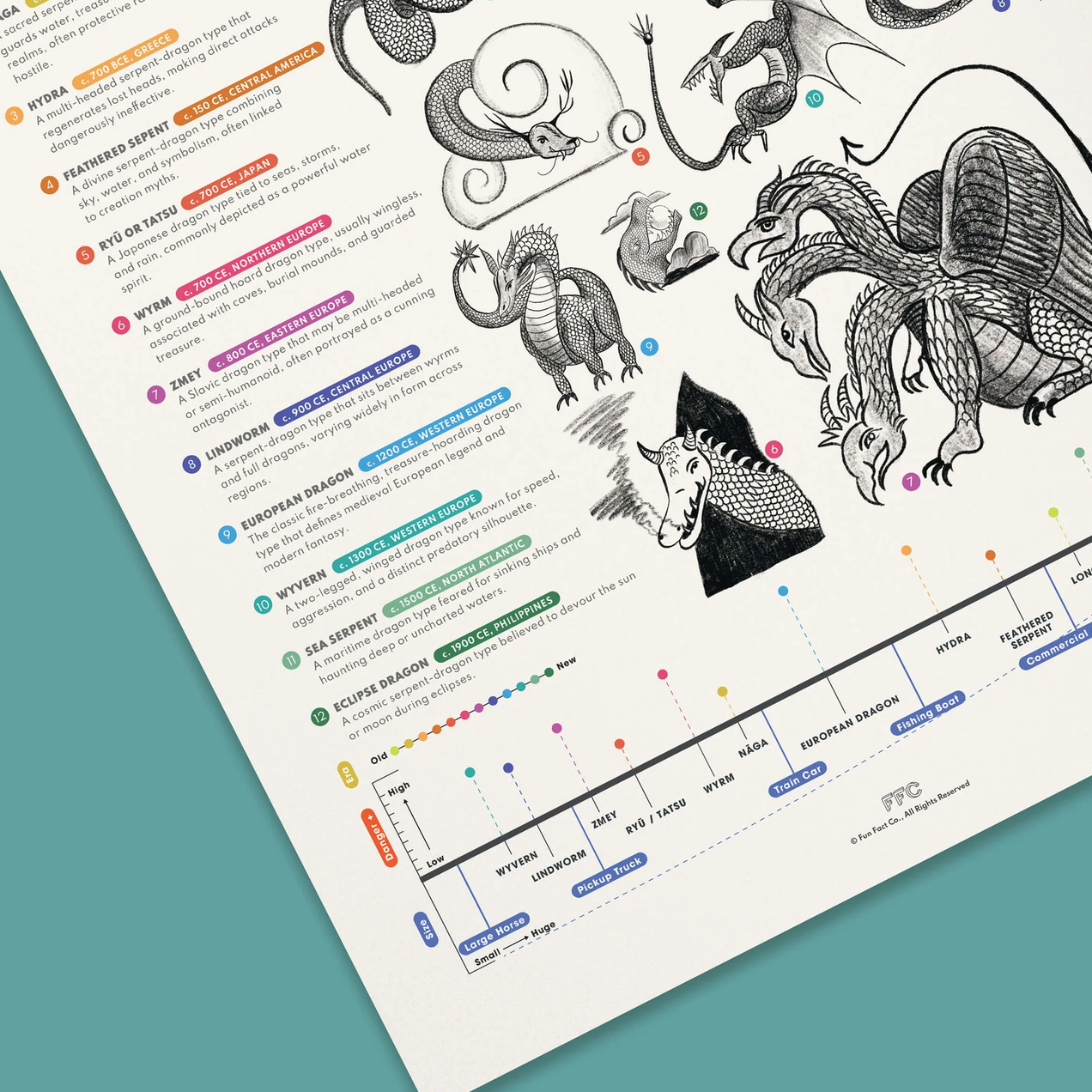 A printed educational poster featuring black-and-white dragon illustrations, colorful labeled callouts, and a timeline, photographed at an angle on a teal background.