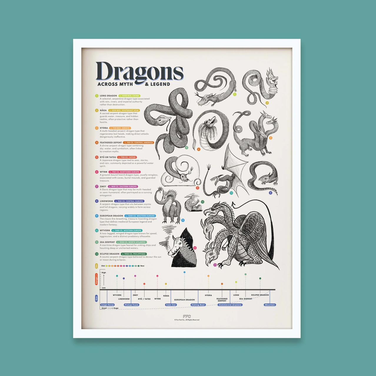 A framed vertical poster titled "Dragons: Anatomy & Etymology" with black line-art dragon illustrations, labels, and a timeline on an off-white background, shown against a teal wall.
