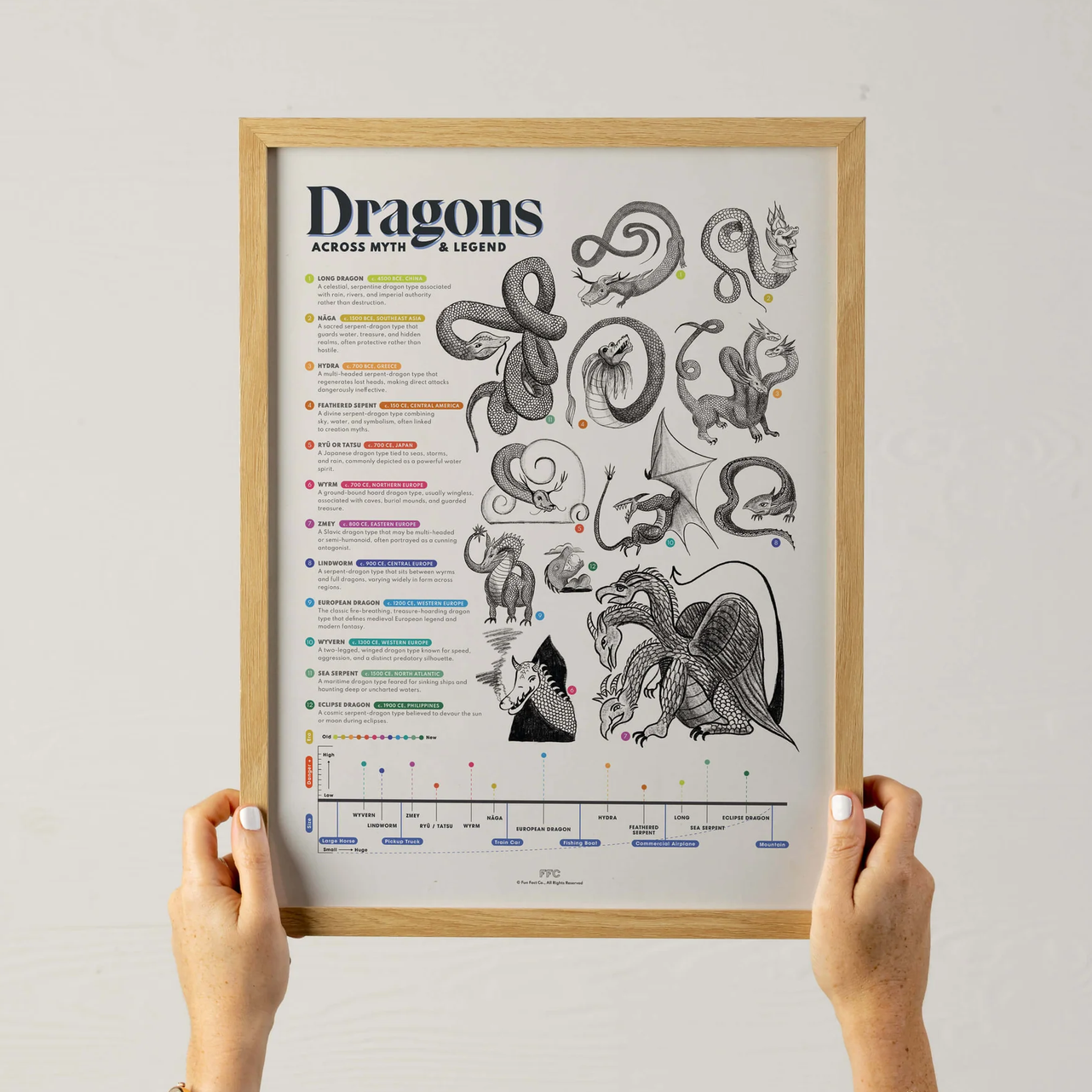 A framed poster titled "Dragons Across Myth & Legends" held up by two hands against a light gray wall. The poster features black line-art illustrations of dragons with many small colored text labels and a timeline at the bottom.